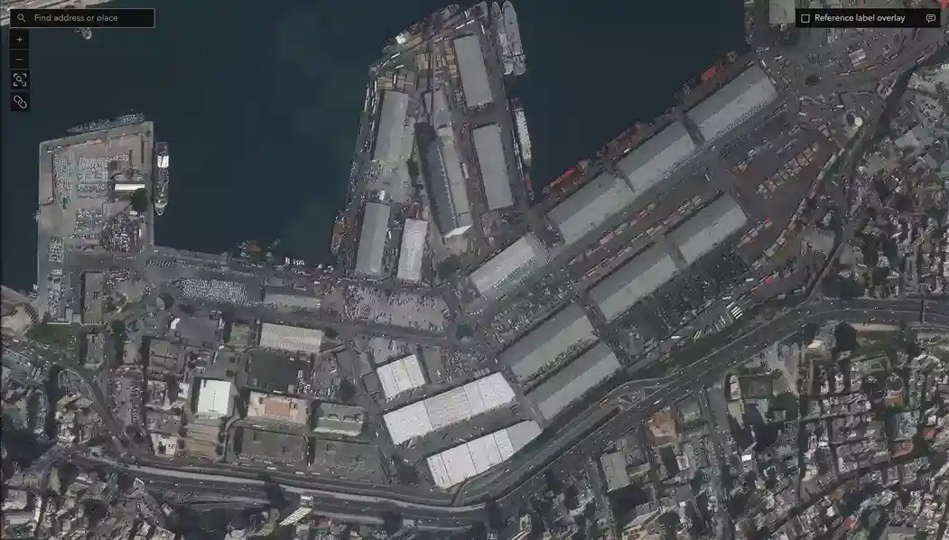 Beirut AN Explosion Image 1